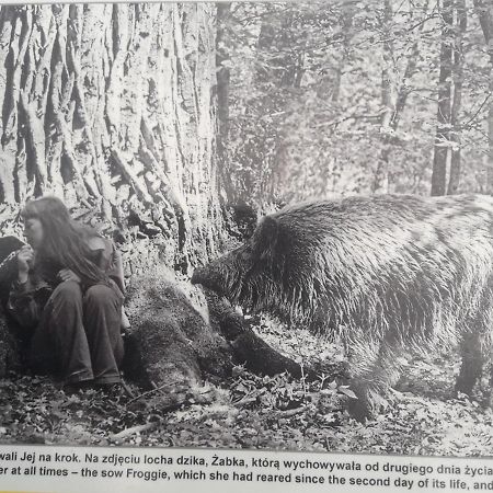 In Nature Białowieża Exteriör bild