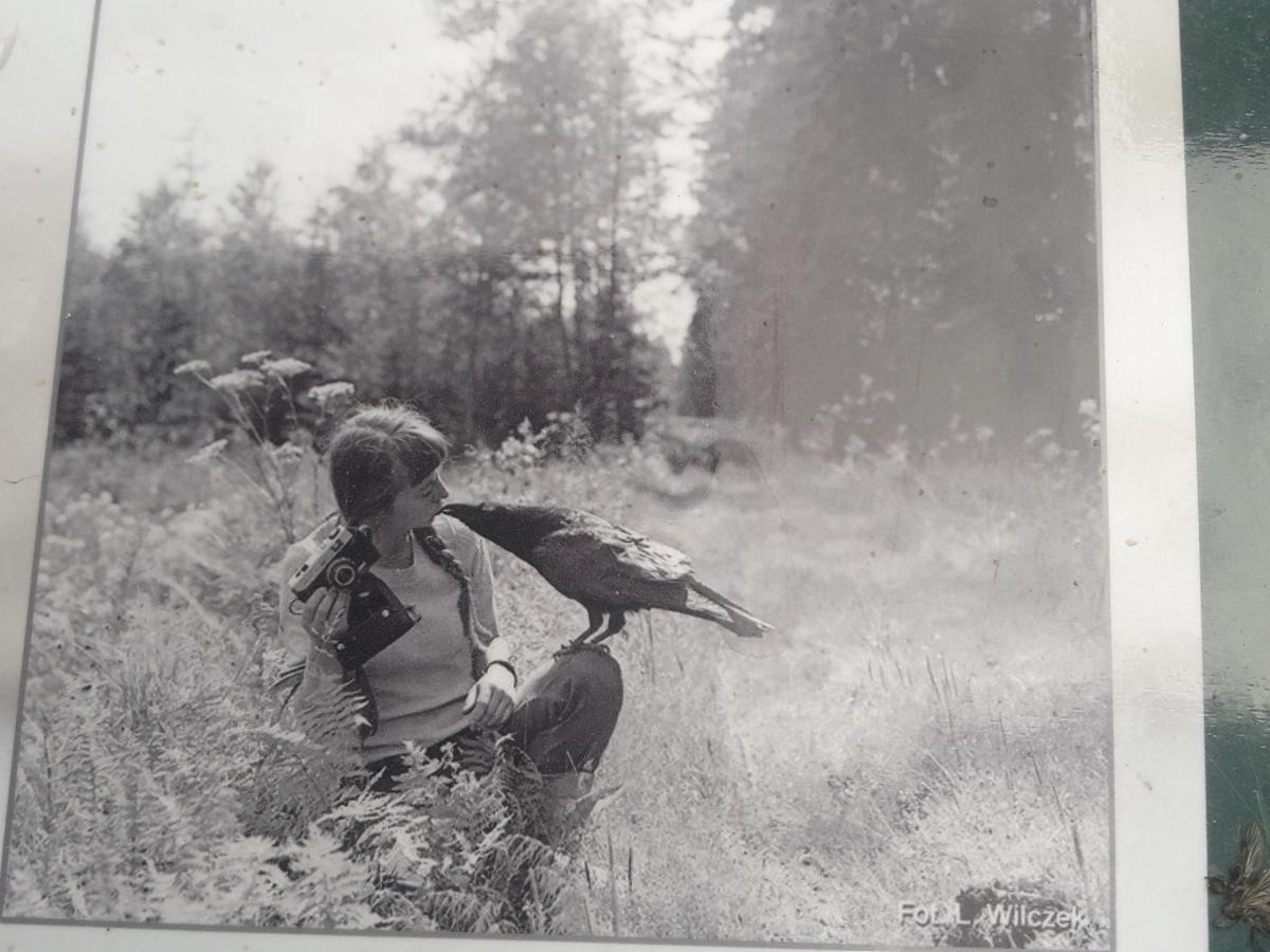 In Nature Białowieża Exteriör bild
