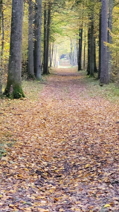 In Nature Białowieża Exteriör bild